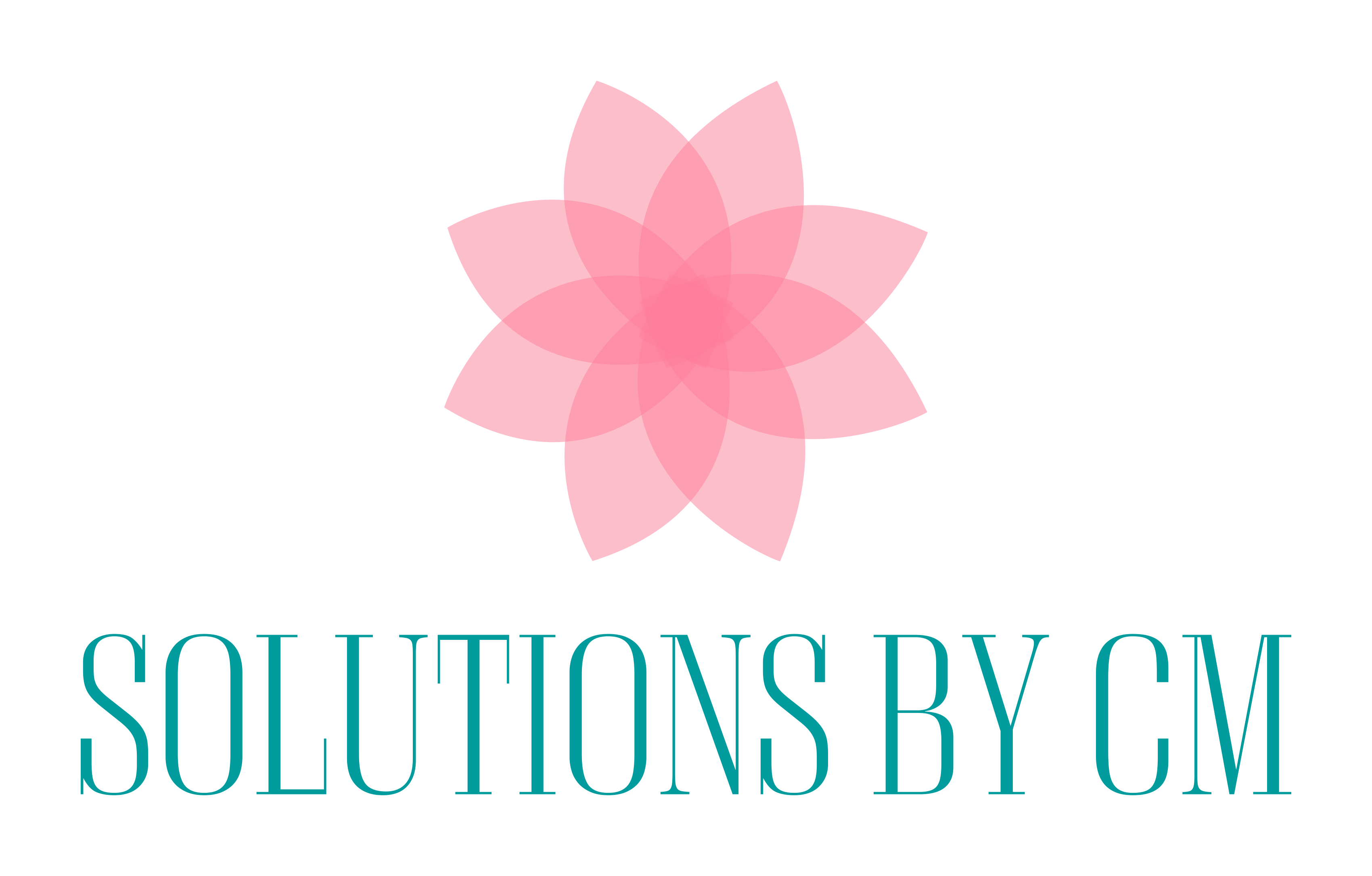 Solutions by CM Logo